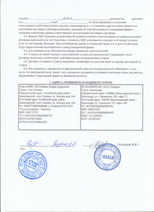 рейз.jpg